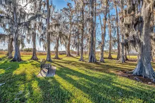 10420 Wittenberg Way, Orlando, FL 32832 - Photo 81