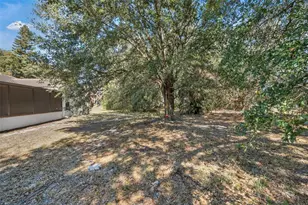 10814 Wheaton Ct, Orlando, FL 32821 - Photo 29