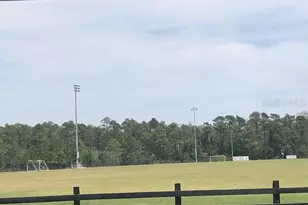 10841 Derringer Dr, Orlando, FL 32829 - Photo 39