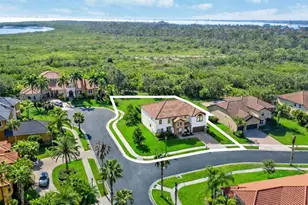 302 Coco Plum Ct, Oldsmar, FL 34677 - Photo 51