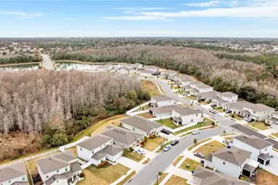 585 Pink Ibis Bnd, Saint Cloud, FL 34772 - Photo 5