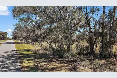 2700 Lent Road, Apopka, FL 32712 - Photo 3