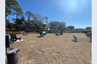 174 Jones Fish Camp Road, Edgewater, FL 32141 - Photo 53