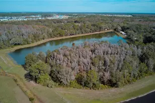 1570 Hubbell Rd, Wesley Chapel, FL 33543 - Photo 21