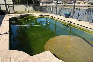 12825 Tikal Way, Trinity, FL 34655 - Photo 57