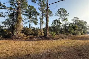 W Thyme Ave, Eustis, FL 32736 - Photo 1