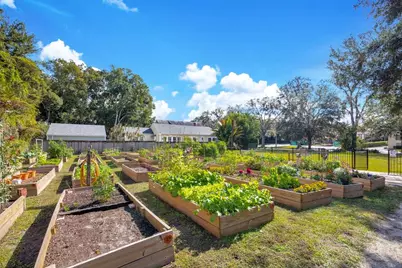 1010 E Robinson Street, Orlando, FL 32801 - Photo 25