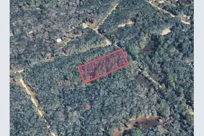 9211 Rousseau Street, Ridge Manor Estates, FL 33597 - Photo 1