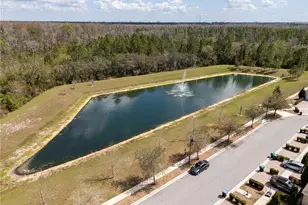 11187 Hanlon Ter Aly, Winter Garden, FL 34787 - Photo 63