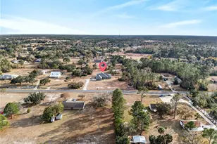 21506 Hobby Horse Ln, Christmas, FL 32709 - Photo 79