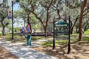 17409 Division St, Montverde, FL 34756 - Photo 37