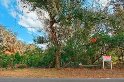 11119 Bessie Dix Road, Seffner, FL 33584 - Photo 3