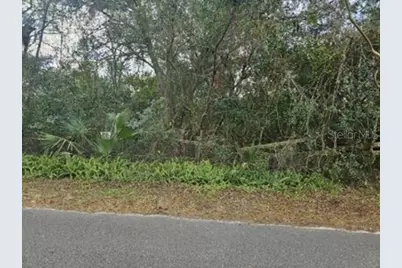 11119 Bessie Dix Road, Seffner, FL 33584 - Photo 1