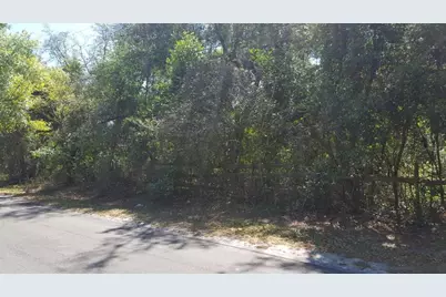 11119 Bessie Dix Road, Seffner, FL 33584 - Photo 3