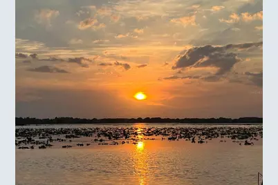 9429 Crescent Ray Drive, Wesley Chapel, FL 33545 - Photo 13