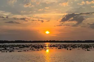 9429 Crescent Ray Dr, Wesley Chapel, FL 33545 - Photo 13