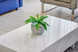 8117 Princess Palm, Kissimmee, FL 34747 - Photo 15