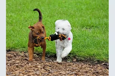 8600 Oakstone Circle, Leesburg, FL 34748 - Photo 21