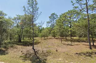 0 SW 204th St, Dunnellon, FL 34431 - Photo 1