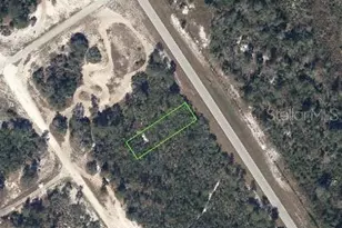 949 County Rd 29, Lake Placid, FL 33852 - Photo 1