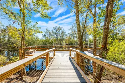 16434 Winding Blossom Drive, Groveland, FL 34736 - Photo 29