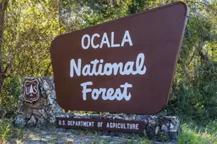 Tbd SW 165th Street Rd, Ocala, FL 34473 - Photo 21