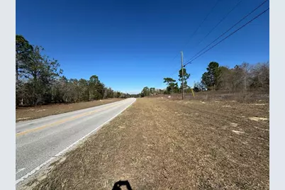 2595 W Chamberlain Street, Citrus Springs, FL 34434 - Photo 3