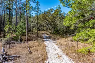 13615 Tyrone St, Hudson, FL 34667 - Photo 11