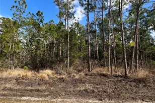 6660 Balboa Blvd, Sebring, FL 33872 - Photo 3