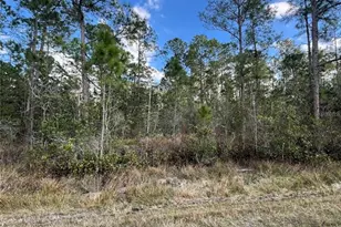 6727 Balboa Blvd, Sebring, FL 33872 - Photo 5