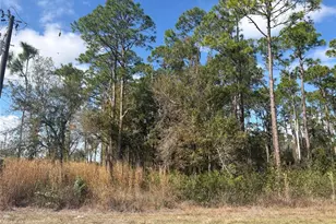 3214 Sr-66, Sebring, FL 33875 - Photo 1