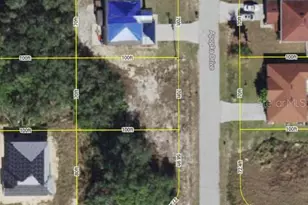 1202 Apopka Ln, Kissimmee, FL 34759 - Photo 1