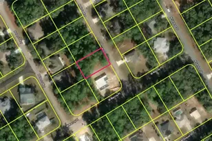 9080 N Akola Way, Dunnellon, FL 34434 - Photo 1