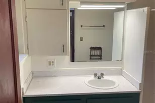 456 W Minneola Ave, Clermont, FL 34711 - Photo 23