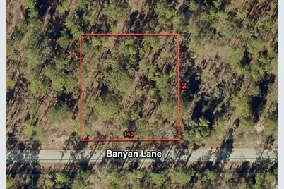 24309 NW Banyan Lane, Dunnellon, FL 34431 - Photo 1