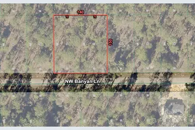 24309 NW Banyan Lane, Dunnellon, FL 34431 - Photo 3