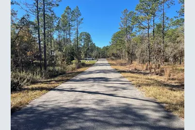 24309 NW Banyan Lane, Dunnellon, FL 34431 - Photo 5