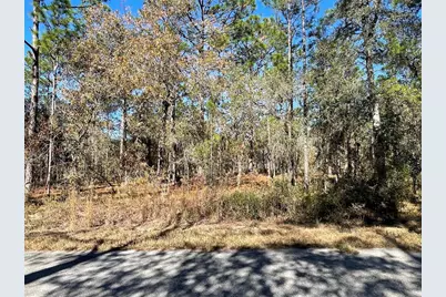 24309 NW Banyan Lane, Dunnellon, FL 34431 - Photo 7