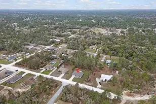 12341 Filbert Rd, Brooksville, FL 34614 - Photo 3