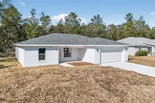 12 Malauka Pass, Ocklawaha, FL 32179 - Photo 3
