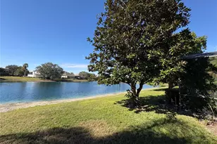 9718 Pineola Dr, Orlando, FL 32836 - Photo 59