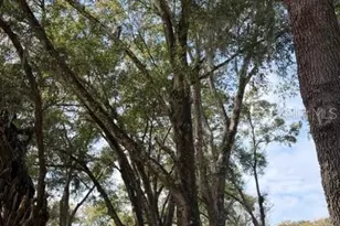 110 Stone Post Rd, Longwood, FL 32779 - Photo 21