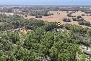 21739 Shady Grove Rd, Groveland, FL 34736 - Photo 45