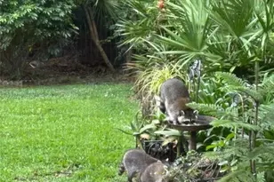 7718 Flemingwood Ct, Sanford, FL 32771 - Photo 77