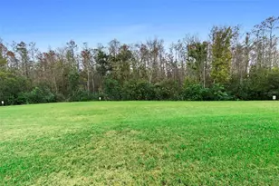 2300 Painter Ln, Kissimmee, FL 34741 - Photo 39