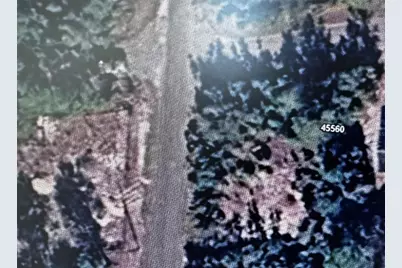 45560 Georgia Street, Paisley, FL 32767 - Photo 5