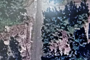 45560 Georgia St, Paisley, FL 32767 - Photo 5