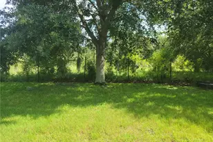 13008 Oulton Cir, Orlando, FL 32832 - Photo 3