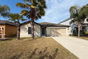 11212 Carrick Stone St, Wimauma, FL 33598 - Photo 1