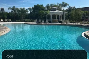 8162 Serenity Spring Dr, Windermere, FL 34786 - Photo 5